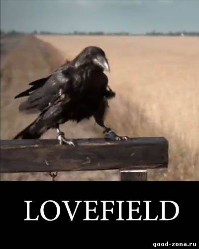 Поле любви / Lovefield смотреть