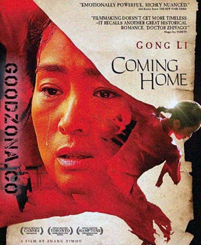 Возвращение домой (2014) 